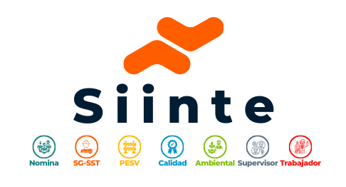 Logo Siinte
